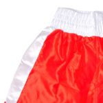 Tuf Wear Satin Boxing Shorts - Image 5